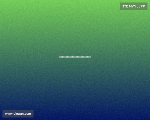 德甲联赛深度解析：社区文化如何塑造球队精神与球迷忠诚